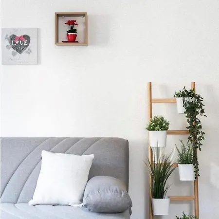 Bella My In The Center *