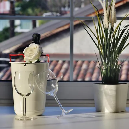 Bella My In The Center